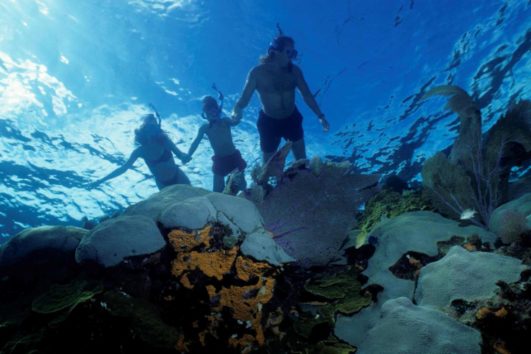 Snorkeling gran canaria