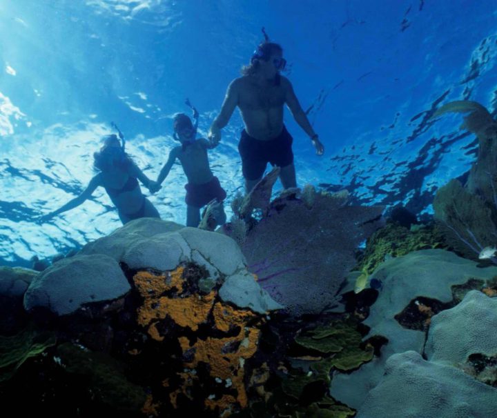 Snorkeling gran canaria