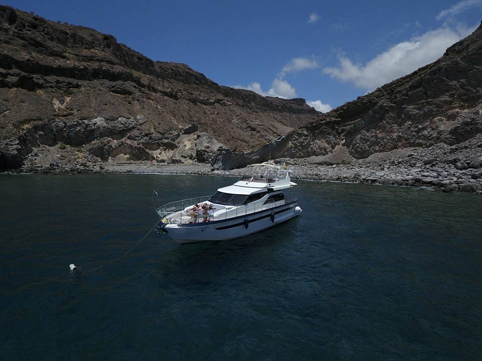 Whales and Dolphins Tour from Puerto de Mogàn