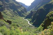 gran canaria guayadeque