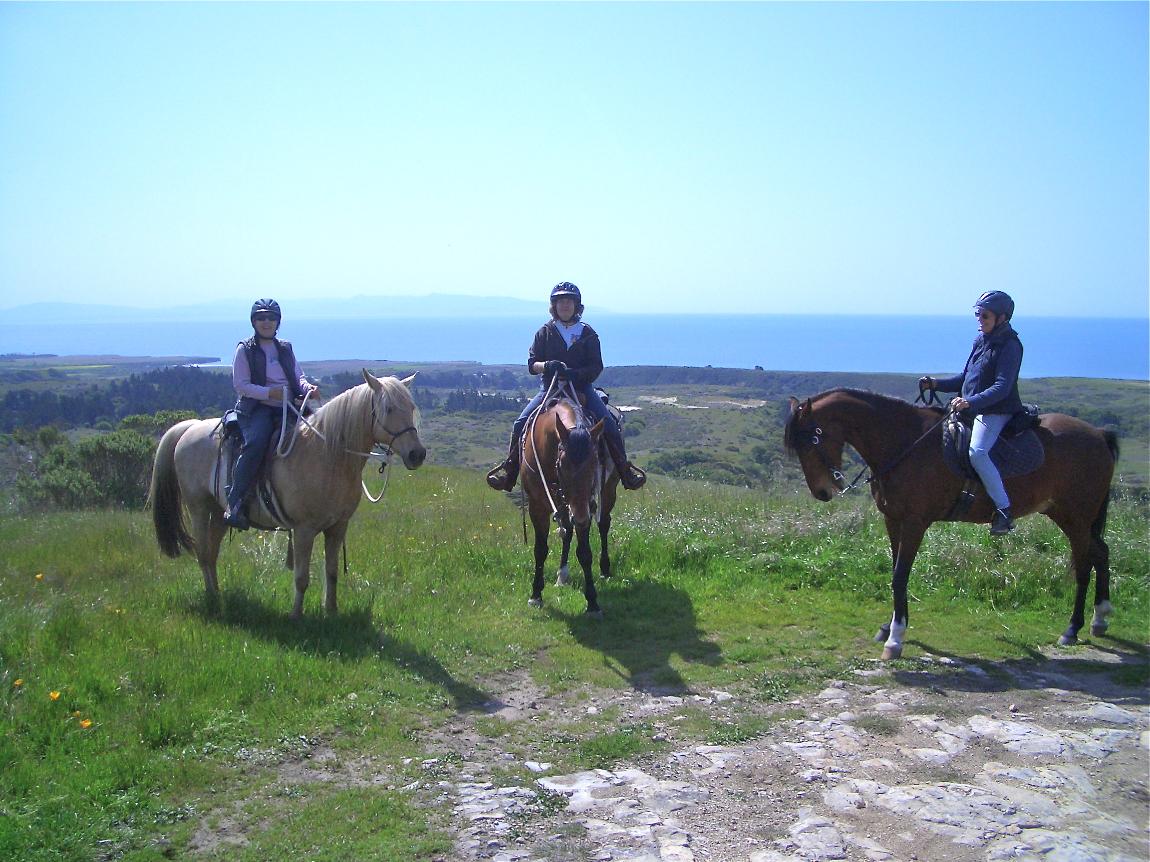 Horse Riding Gran Canaria