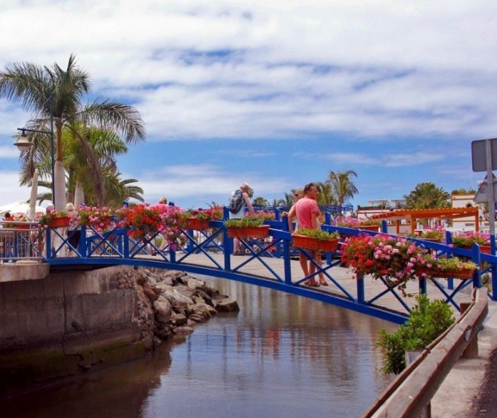 Puerto de Mogán Market with Bus