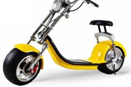 Electric Chopper Renting