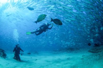 discover scuba diving