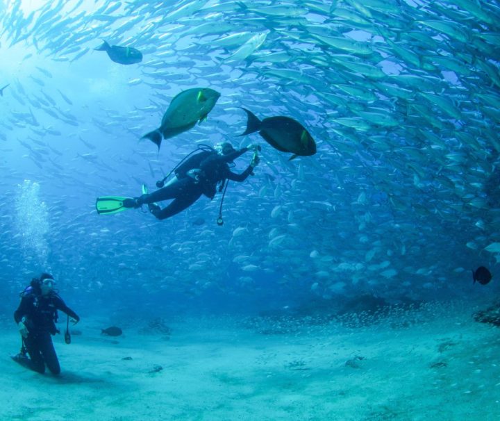 discover scuba diving