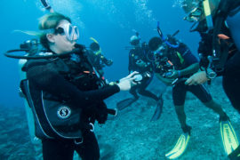 Padi Open Water