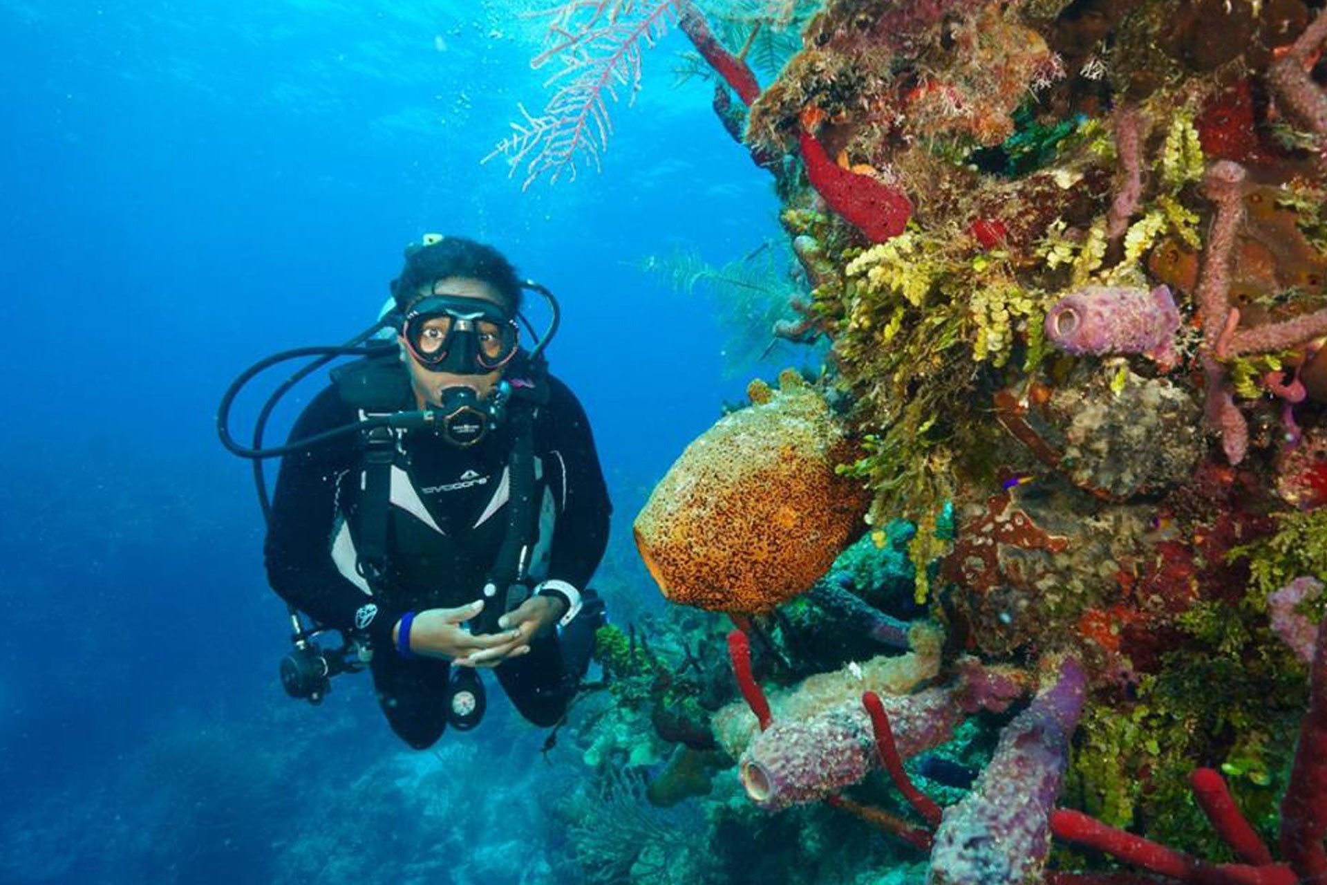 Discover Scuba Diving